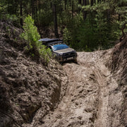 Parc du Marquenterre 4×4 Tour May / June 2026
