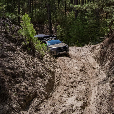 Parc du Marquenterre 4×4 Tour May / June 2026
